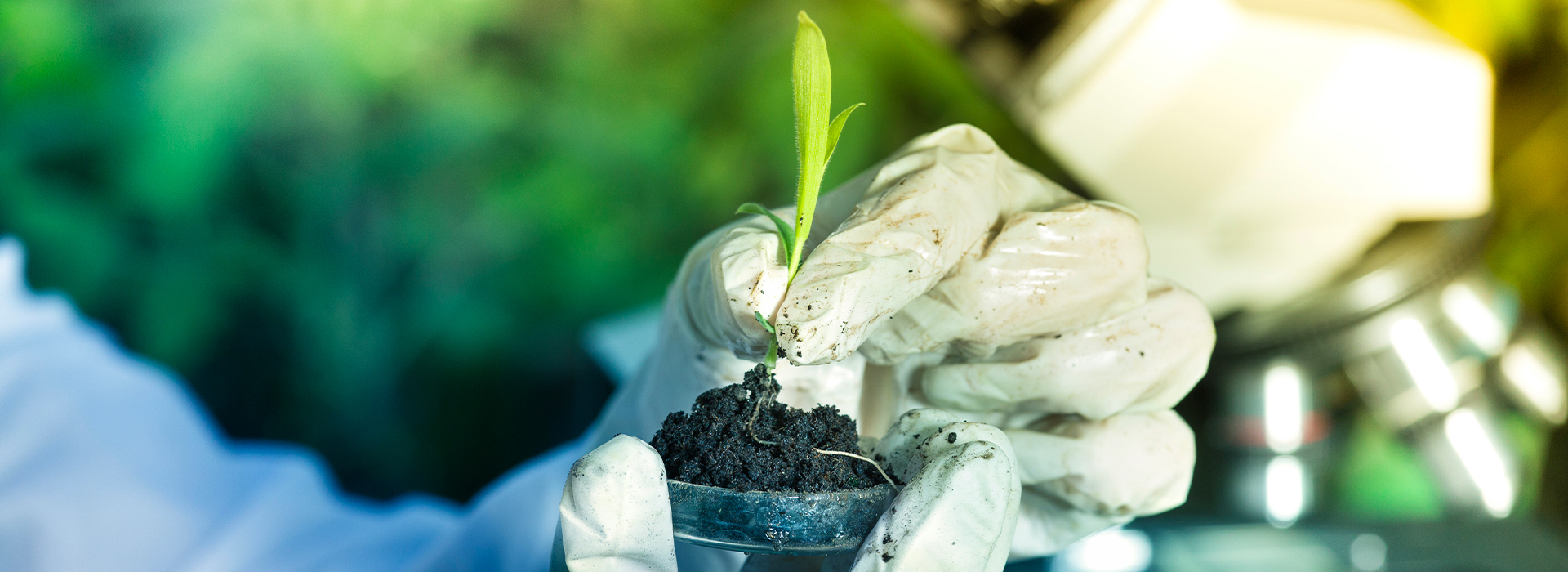 Bitki Bazlı Belgelendirme